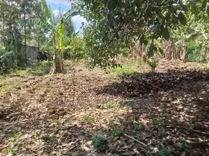 50*100 Plot on Sale in Ngong, Memusi. Has Good Neighborhood
