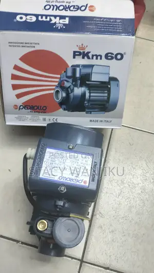 Pedrollo Water Pump Pkm60 0.5hp Pedrollo Booster Pump