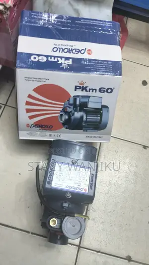 New Pedrollo Water Pump Pkm60/ 0.5hp Pedrollo Water Pump