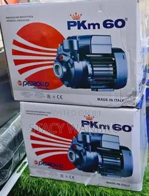 0.5 Pedrollo Water Pump/ Pkm60 Pedrollo Water Pump 0.5