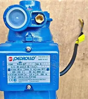 New Pedrollo Water Pump Pkm60/ Pedrollo Water Pump Pkm60