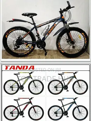 24 Inch Tanda Mountain Bike
