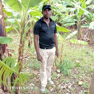 Am a Driver