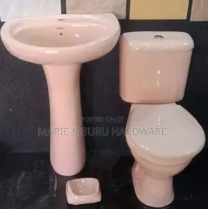 Pink Toilet