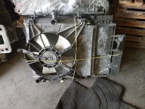 Passo Sette Radiator