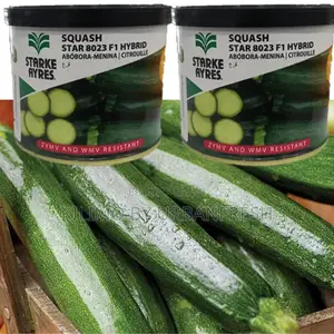 Courgette Star 8021 Seeds 100g