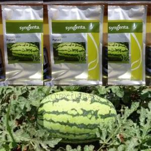 Fahari F1 Watermelon Seeds (1000 Seeds)