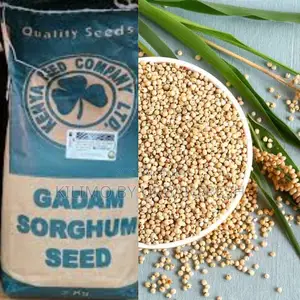GADAM Sorghum Seeds 2kg