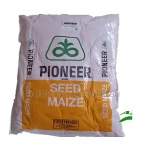 Pioneer PHB 3253 Maize Seeds 2kg
