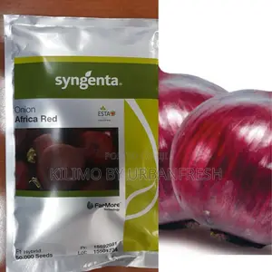 Africa Red F1 Onion Seeds (5000 Seeds)