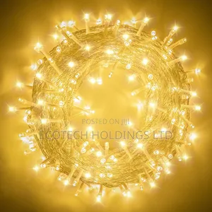 50mtrs Warm White Christmas Lights