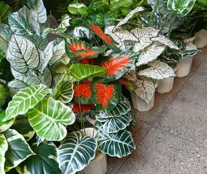 Artificial Green Plants, Home Decoration