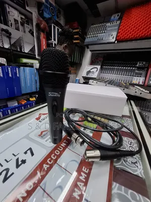 Soundking Wire Microphone