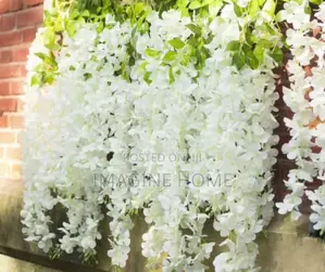 Wisteria Hanging Flowers