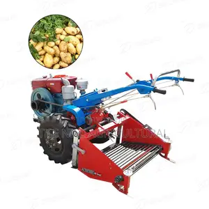 Walking Tractor With Potato Harvester