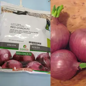 Red Coach F1 Onion Seeds (100000 Seeds)
