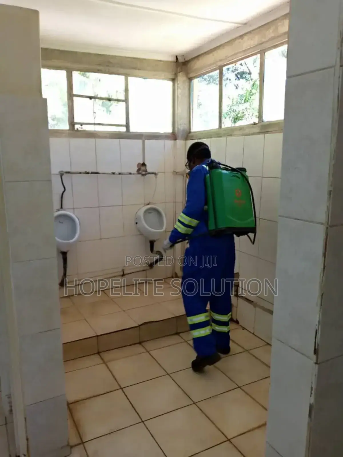 Fumigation Services/Pest Control Services