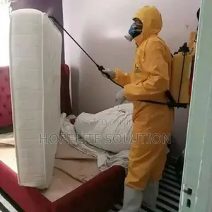 Mattress Fumigation