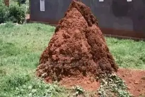Ant-Hills Termites Pest Control