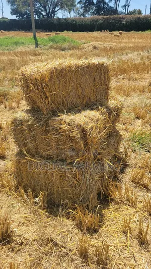Barley/ Wheat Straws