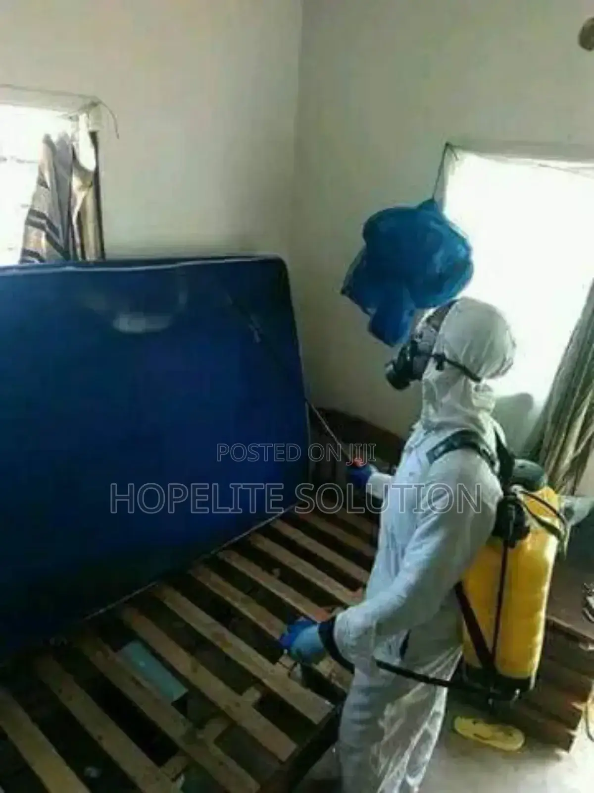 Unseen/Nightmare Bedbugs Fumigation