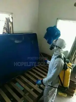 Unseen/Nightmare Bedbugs Fumigation