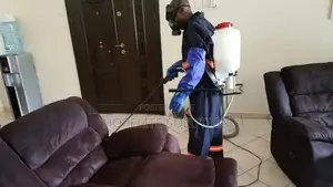 Sofaset Cleaning, Fumigation and Disinfecting