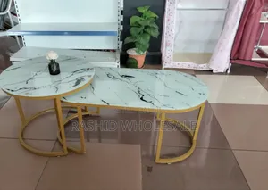 Oval Coffee Marble Table