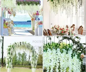 White Wisteria Hanging Flowers