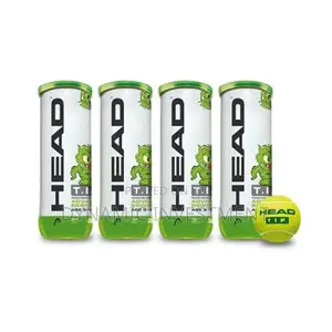 HEAD TIP Green Tennis Balls (1 Can)