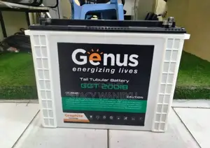 Quality 200ah Heavy Duty Battery/200ah Genus Tubular Battery