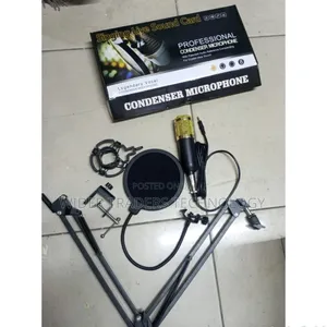 Bm800 Condesnsed Microphone 
No Sound Card