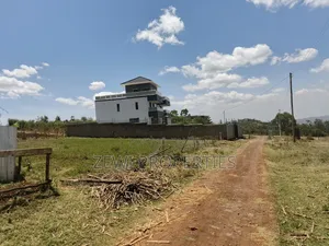 1/8 Kibiku Ngong