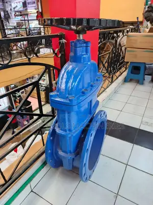 Sluice Valve 8" Inch