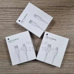 Apple USB-C to Lightning Cable (3.3' / 1m)