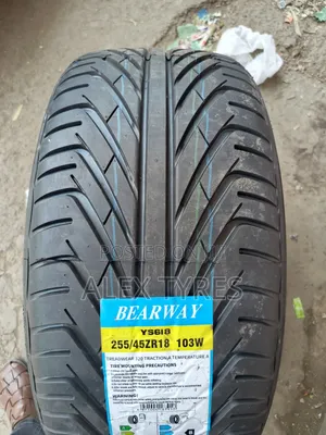 255/45r18 BEARWAY Tires