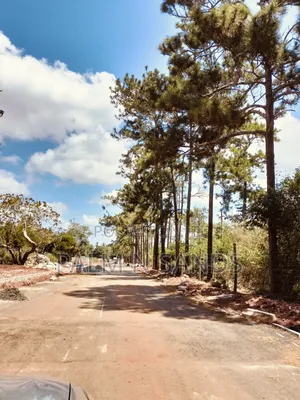4.5 Acre Golini Ridge Land on Sale!! At
