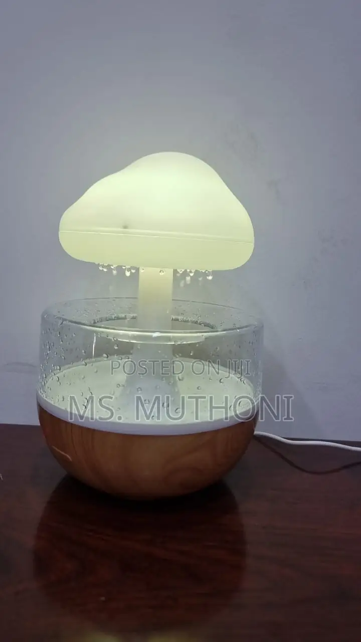 Sound of Rain" Rechargeable CLOUD RAIN HUMIDIFIER