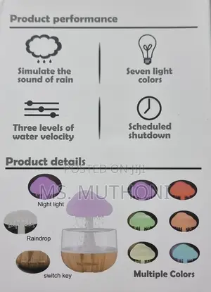 Sound of Rain" Rechargeable CLOUD RAIN HUMIDIFIER