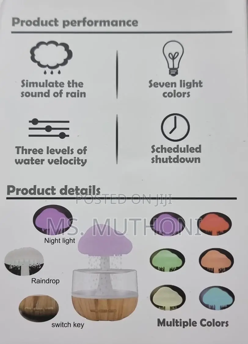Sound of Rain" Rechargeable CLOUD RAIN HUMIDIFIER