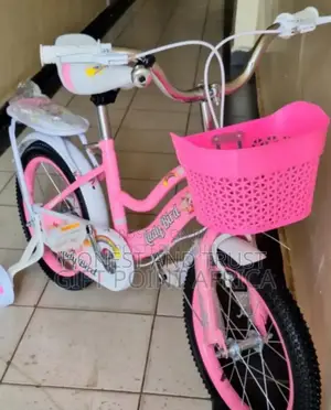 Brand New Pink Ladybird Bicycle