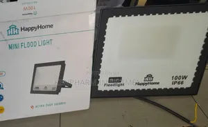 Floodlight 100 Watts; Ip006
