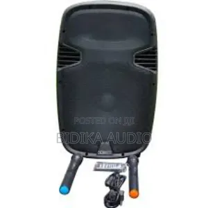 10 Inches Outdoor Rechargeable Public Address Speaker With
