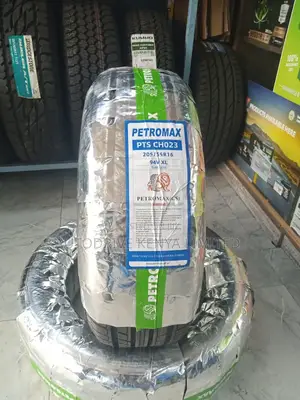 205/55r16 Petromax Tire