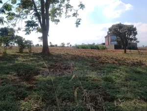 Affordable Residential Plots for Sale Kiambu Near Kirigiti