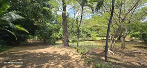 Prime 2.5-Acre Parcel of Land for Sale in Mtwapa