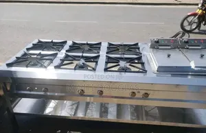 Six Burner and Imported Fryer Combined Unit