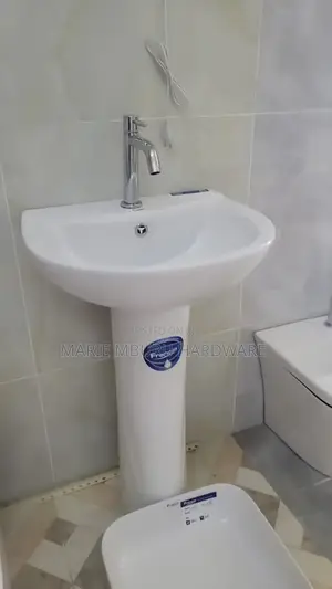 Wash Hands Basin and Pedestal