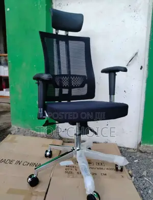 Executive Office Chair (Orthopedic)