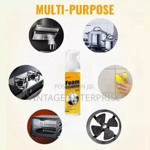 *100ml Foam Cleaner*
